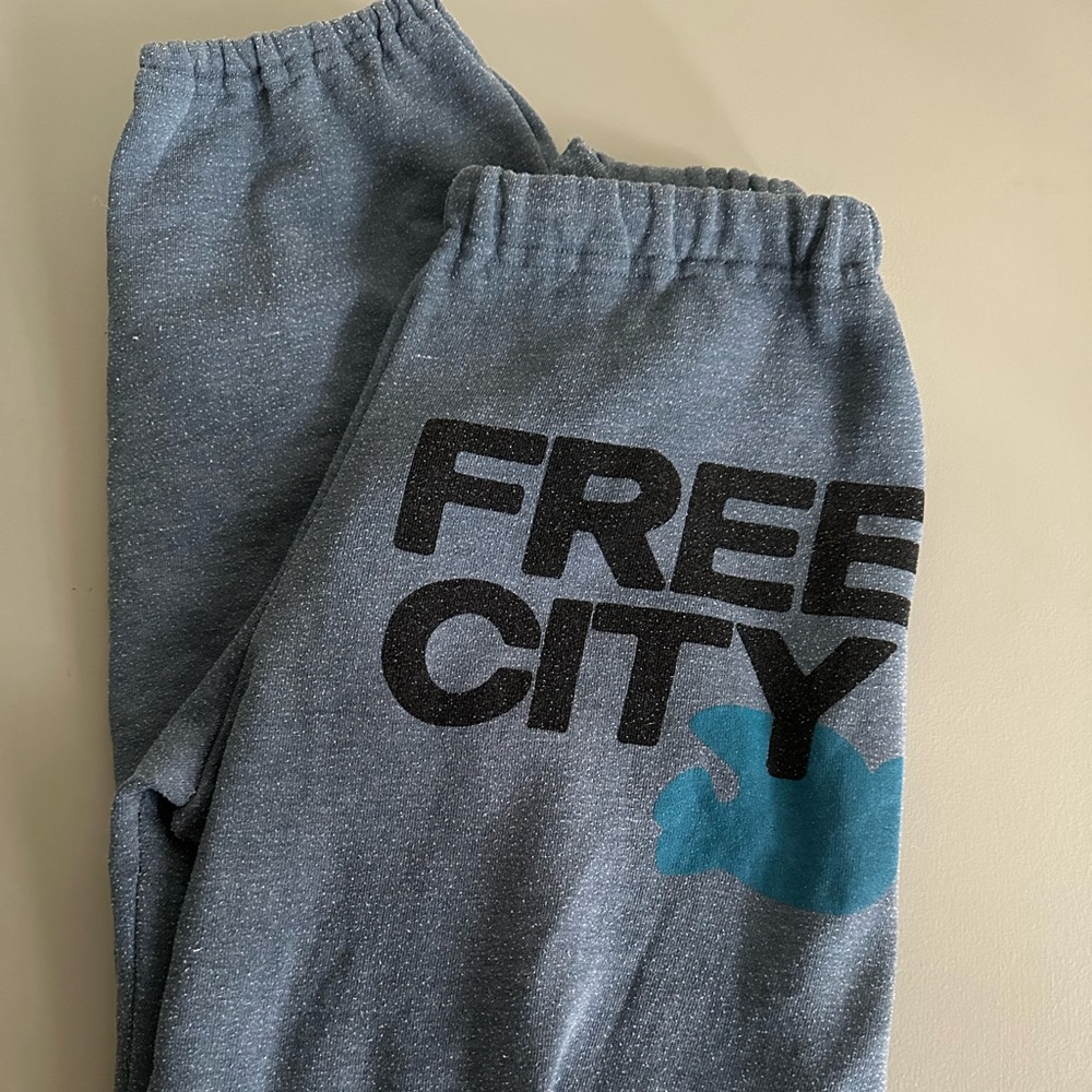 Free People Sweatpants